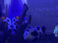 IMG_0714.jpeg