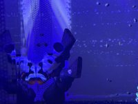 IMG_0713.jpeg