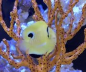 IMG_5142.jpeg