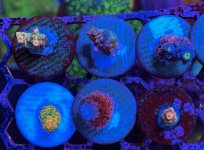 IMG_8823.jpeg