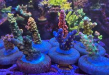 IMG_8830.jpeg