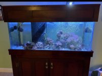 IMG_8216.jpeg