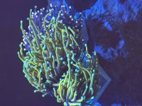 IMG_9637.jpeg