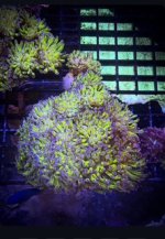 IMG_1470.JPEG