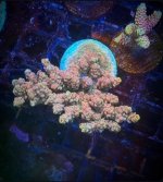 IMG_1478.JPEG