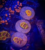 IMG_1479.JPEG
