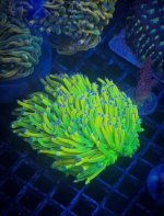 IMG_1608.JPEG
