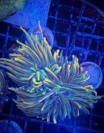 IMG_1622.JPEG