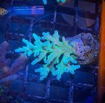 IMG_1638.JPEG
