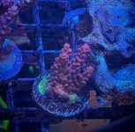 IMG_1672.JPEG