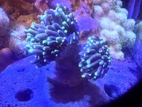 IMG_3590.jpeg