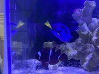 IMG_8826.jpeg