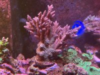 IMG_7258.jpeg