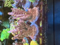 IMG_0008.jpeg