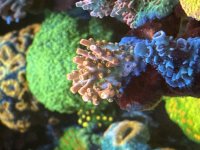 IMG_0004.jpeg