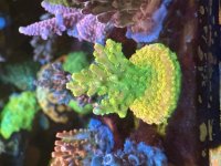 IMG_9986.jpeg