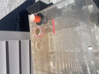 IMG_2199.jpeg
