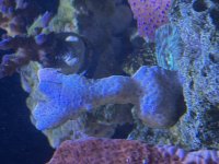 IMG_9903.jpeg