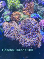 IMG_0323.jpeg