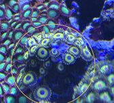 IMG_0320.jpeg