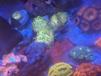 IMG_1147.jpeg