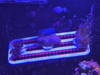 58020.jpg