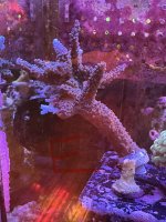 IMG_1432.jpeg
