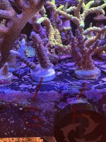 IMG_1430.jpeg
