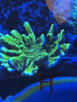 IMG_1440.jpeg