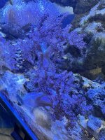 IMG_3616 1.jpg