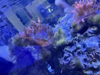 IMG_3620 1.jpg