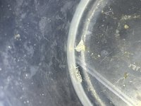 IMG_4792.jpeg