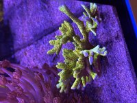 IMG_6812.jpeg
