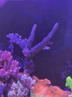 IMG_6811.jpeg