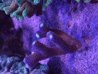 IMG_6809.jpeg