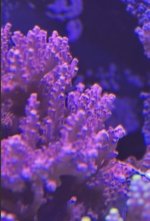 IMG_0560.jpeg