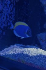 IMG_9312.jpeg