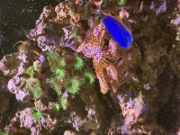 IMG_0956.jpeg