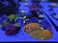 IMG_8347.jpeg
