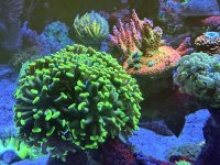 IMG_8343.jpeg