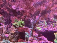 IMG_7777.jpeg