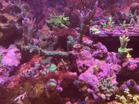 IMG_7775.jpeg
