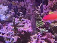 IMG_7771.jpeg