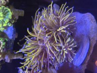 IMG_5679.jpeg