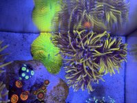 IMG_5683.jpeg