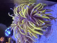 IMG_5680.jpeg