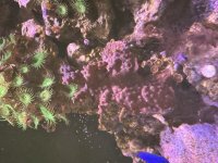 IMG_1054.jpeg