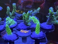 IMG_8976.jpeg