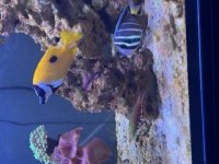 IMG_5762 (1).jpeg