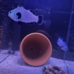 IMG_1038.jpeg